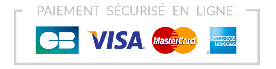Paiement sécurisé en ligne